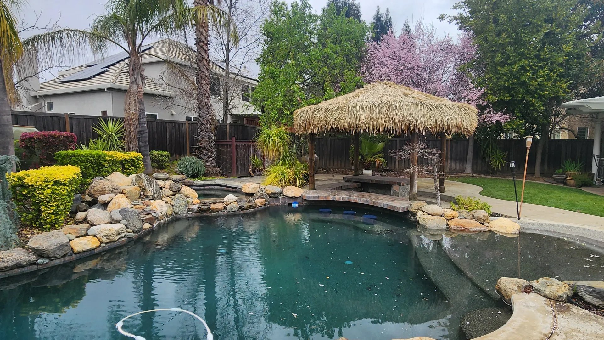 Thatched shade hut beside a backyard pool in Loomis, CA